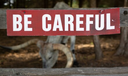 Book – ‘The Retirement Rescue System – How to Never Run Out Of Money In Retirement’ – David Abreu 